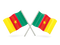 Cameroon Flag PNG File