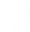 Canada Leaf Free Download PNG