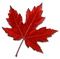 Canada Leaf PNG Image