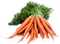 Carrot Free Download PNG