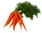 Carrot PNG Clipart