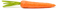 Carrot PNG Image