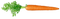 Carrot PNG Pic