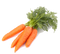 Carrot PNG