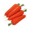 Carrot Transparent