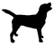 Cartoon Black Dog PNG