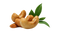 Cashew Nuts PNG Image