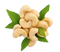 Cashew PNG HD