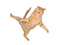 Cat PNG 6