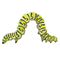 Caterpillar PNG Image