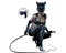 Catwoman PNG Image