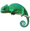 Chameleon PNG Download Image