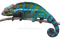 Chameleon PNG File