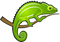 Chameleon PNG Images