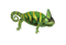 Chameleon PNG Picture