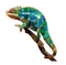 Chameleon Reptile PNG Free Image