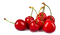 Cherry Download PNG