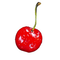 Cherry Free Download PNG