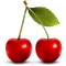 Cherry PNG Clipart