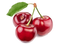 Cherry PNG HD