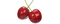 Cherry PNG Image