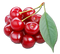 Cherry PNG Pic