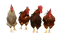 Chicken PNG 4