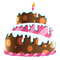 Chocolate Cake PNG Picture