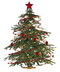 Christmas Tree PNG Image