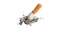 Cigarette Ashes PNG