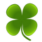 Clover PNG Pic