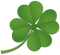 Clover Transparent