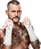 CM Punk Transparent