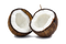 Coconut Free PNG Image