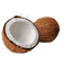 Coconut PNG Clipart