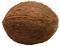 Coconut PNG File