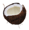 Coconut PNG Image