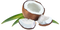 Coconut Transparent