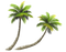 Coconut Tree PNG Image HD