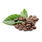 Coffee Beans Free PNG Image