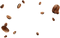 Coffee Beans PNG