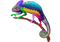 Colorful Chameleon Transparent