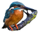 Common Kingfisher PNG Image File