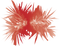 Cool Effects PNG Picture