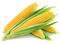 Corn Free Download PNG