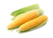 Corn PNG File