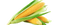 Corn PNG HD