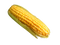 Corn PNG Pic