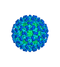 Coronavirus PNG Image