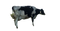 Cow PNG Clipart